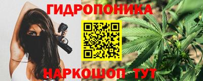 apvp Камышлов