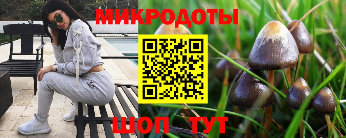 Котлас  Псилоцибиновые грибы ЛСД  Вход с VPN 