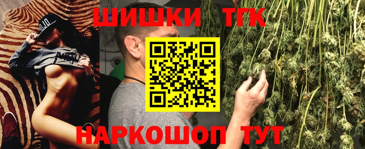 Котлас  Каннабис сатива  Вход с VPN  Конопля конопля 